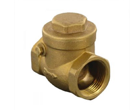 Non-return valve Non-return valve